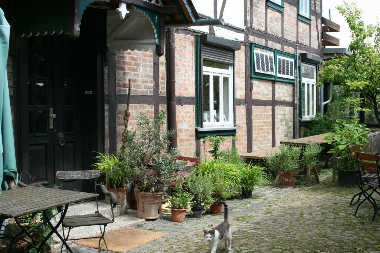Apartments Cafe Brennnessel Veltheim エクステリア 写真
